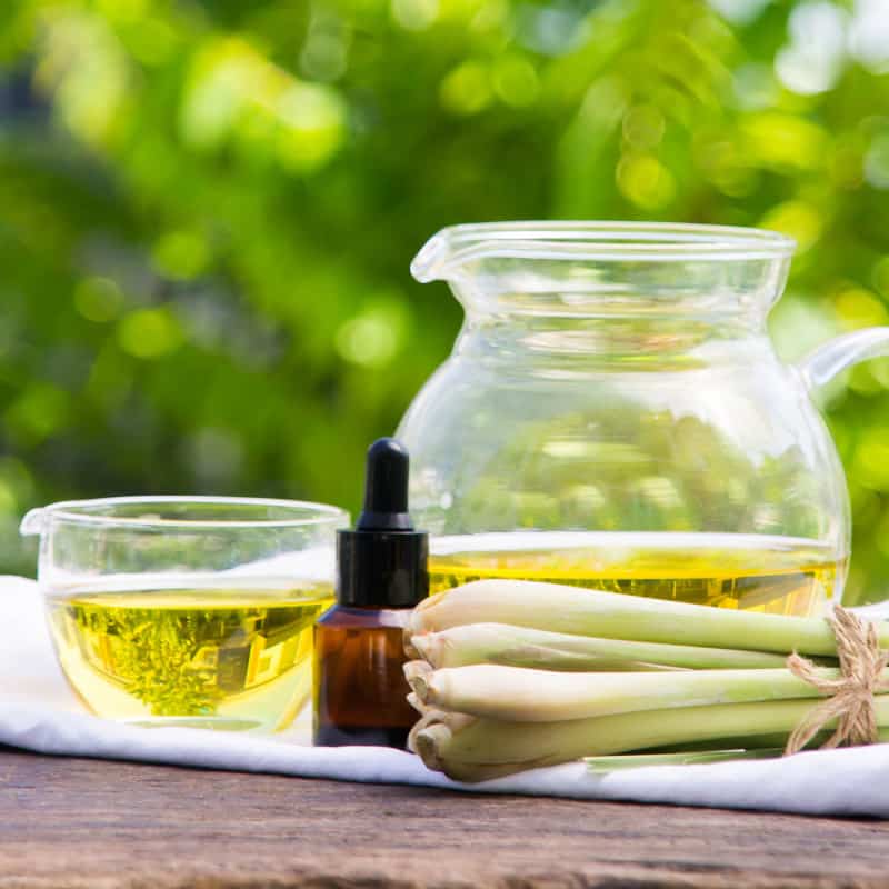 Lemongrass Essential Oil Benefits, Uses and Side Effects - Dr. Axe